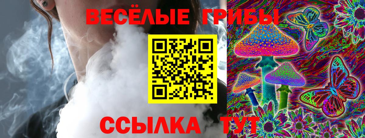 Сафоново  Галлюциногенные грибы мицелий  Вход с VPN 